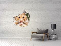 Wallmuralia Fotoobraz díra na stěnu nálepka Křeček v košíku 75x75 cm