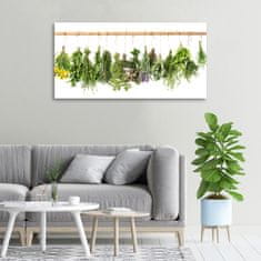 Wallmuralia Foto obraz canvas Bylina na provázku 100x50 cm