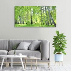 Wallmuralia Foto obraz canvas Břízový les 100x50 cm