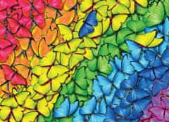 EuroGraphics Puzzle Butterfly Rainbow 1000 dílků