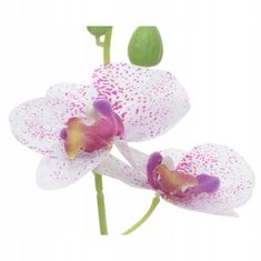 Kaemingk Umělá orchidej v květináči 25 cm
