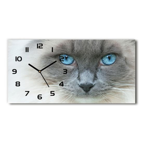 Wallmuralia Skleněné hodiny na stěnu Kočka modré oči černé