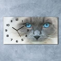 Wallmuralia Skleněné hodiny na stěnu Kočka modré oči černé 60x30 cm