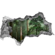 Wallmuralia Díra 3D foto tapeta nálepka Mlha v lese 150x115 cm