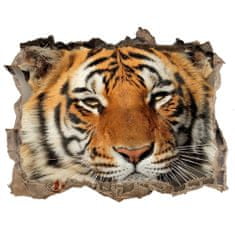 Wallmuralia Díra 3D foto tapeta nálepka Bengálský tygr 120x81 cm