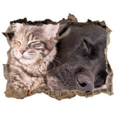 Wallmuralia Díra 3D foto tapeta nálepka Pes s kočkou 95x64 cm