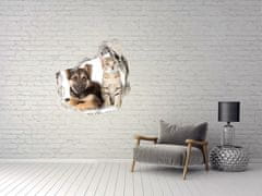 Wallmuralia Fototapeta díra na zeď 3D Pes a kočka 75x75 cm