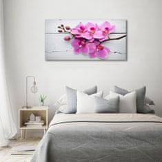 Wallmuralia Foto obraz skleněný horizontální Orchidej a na stromě 100x50 cm 4 úchytky