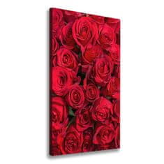 Wallmuralia Foto-obraz canvas do obýváku Červené růže 50x125 cm