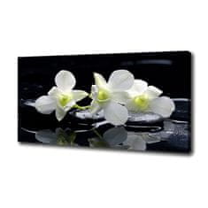 Wallmuralia Foto-obraz canvas do obýváku Orchidej 100x70 cm