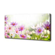 Wallmuralia Foto obraz canvas Květiny na louce 100x70 cm