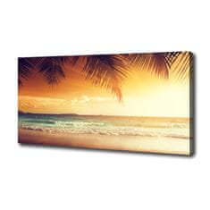 Wallmuralia Foto obraz na plátně Tropická pláž 100x50 cm