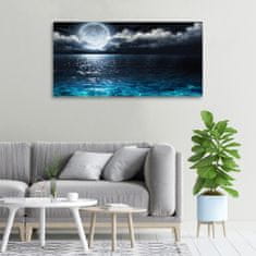 Wallmuralia Foto obraz canvas Měsíc v úplňku 100x50 cm