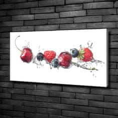 Wallmuralia Foto obraz canvas Lesní ovoce 100x50 cm