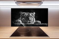Wallmuralia Skleněný panel do kuchyně Tygr 100x50 cm