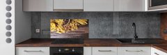 Wallmuralia Panel lacobel Těstoviny 100x50 cm