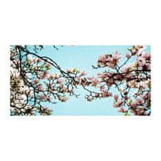 Wallmuralia Fotoobraz na skle Květiny magnolie 140x70 cm 4 úchytky
