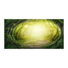 Wallmuralia Fotoobraz na skle Tunel ze stromů 100x50 cm 2 úchytky