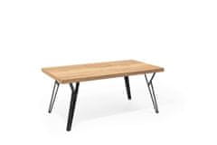 eoshop Konferenční stůl DINO mini 110/60 K306 (Provedení: Dub halifax)