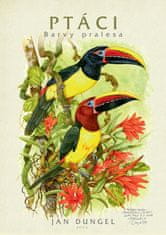 Dungel Jan: Ptáci - Barvy pralesa