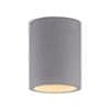 PAUL NEUHAUS LED stropní svítidlo, barva betonu, GU10, LED vyměnitelné, IP20