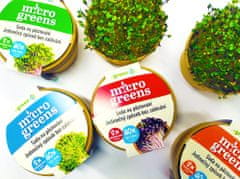 AUR Microgreens - kouzelná zahrádka, mikro bylinky - 2x semínka červené zelí