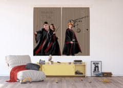 AG Design Harry Potter , záclony, pro dětské pokoje, 180 x 160 cm, FCSXL321 - 410