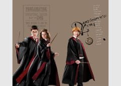 AG Design Harry Potter , záclony, pro dětské pokoje, 180 x 160 cm, FCSXL321 - 410