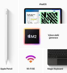 Apple iPad Pro Wi-Fi, 12.9" 2022, 256GB, Space Gray (MNXR3FD/A)