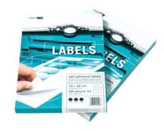 Smart Europapier LINE Samolepicí etikety 100 listů ( 4 etikety 105 x 148,5 mm)