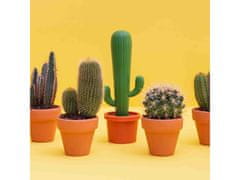 Balvi , Kartáč na nádobí Cactus 27553