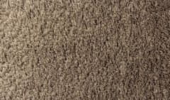Sintelon Kusový koberec Dolce Vita 01/BBB 67x110