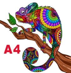 Falixen Puzzle "Chameleon" VELIKOST: A3