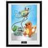 GB eye Pokémon Zarámovaný plakát - Kanto Starters