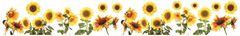 Crearreda Samolepicí dekorace Crearreda v roli RD Sunflowers 53001 Slunečnice
