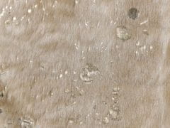 Beliani Koberec z umělé hovězí kůže se skvrnami 150 x 200 cm béžový / zlatý BOGONG