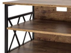 Beliani Televizní stolek z tmavého dřeva s černou, CARLISLE