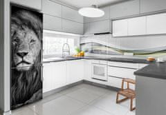 Wallmuralia Foto nálepka na ledničku stěnu Portrét lva 60x180 cm
