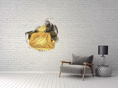 Wallmuralia Díra 3D foto tapeta nálepka Sedící budha 75x75 cm