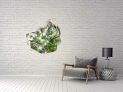 Wallmuralia Díra 3D ve zdi na stěnu Koruna stromů 75x75 cm