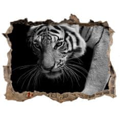 Wallmuralia Díra 3D foto tapeta nálepka Tygr 95x64 cm