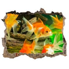 Wallmuralia Díra 3D foto tapeta nálepka Zlaté rybičky 95x64 cm