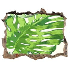 Wallmuralia 3D díra na zeď Tropické listí 120x81 cm