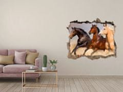 Wallmuralia Díra 3D foto tapeta nálepka Koně ve cvalu 95x64 cm
