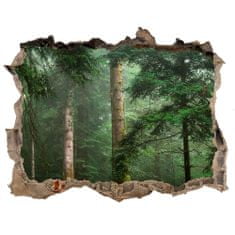 Wallmuralia Díra 3D foto tapeta nálepka Mlha v lese 95x64 cm