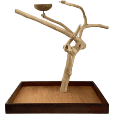 TERRA INTERNATIONAL M5016, Strom z kávovníku v. 65 cm pro malé, střední papoušky