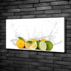 Wallmuralia Foto obraz canvas Citrusy a voda 100x50 cm