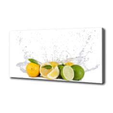 Wallmuralia Foto obraz canvas Citrusy a voda 100x50 cm