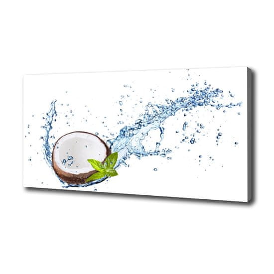 Wallmuralia Foto obraz canvas Kokos a voda