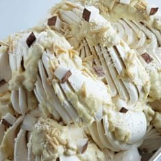 Irca Joycream "Donatello" - bílá čokoláda s kokosem 250g